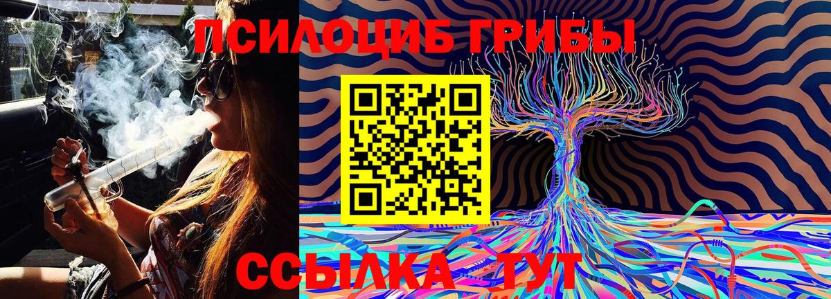 Можга  купить  цена  Вход с VPN  Псилоцибиновые грибы MAGIC MUSHROOMS 