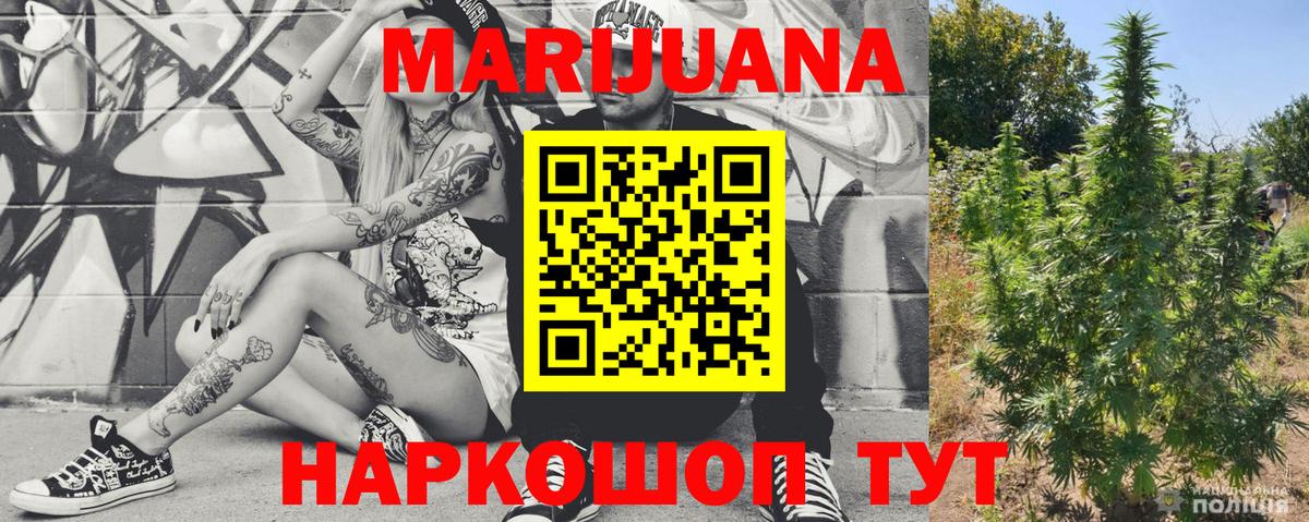 Каннабис конопля Можга